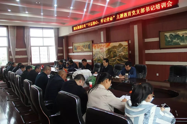 隴運(yùn)集團(tuán)公司召開“不忘初心、牢記使命”主題教育黨支部書記培訓(xùn)會