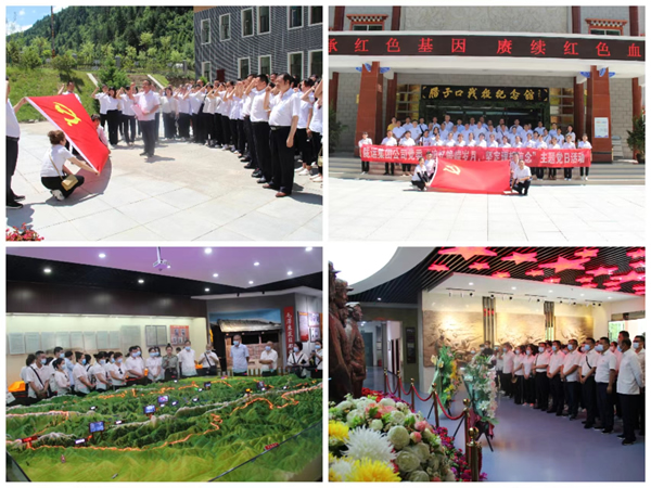 隴運(yùn)集團(tuán)公司黨委積極開展慶“七一”系列活動